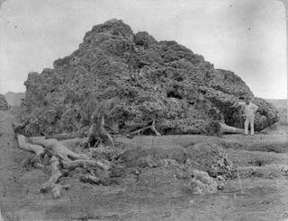 Illustration for article titled De Krakatoa a Tambora: 7 catástrofes naturales que cambiaron la historia